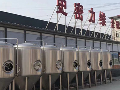苏尼特右精酿啤酒设备厂—如何判断精酿啤酒设备的密封件需要更换？